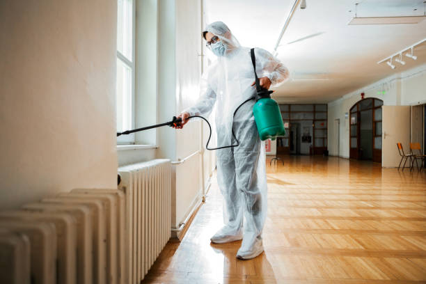 Best Fumigation Services  in Bayou Vista, LA